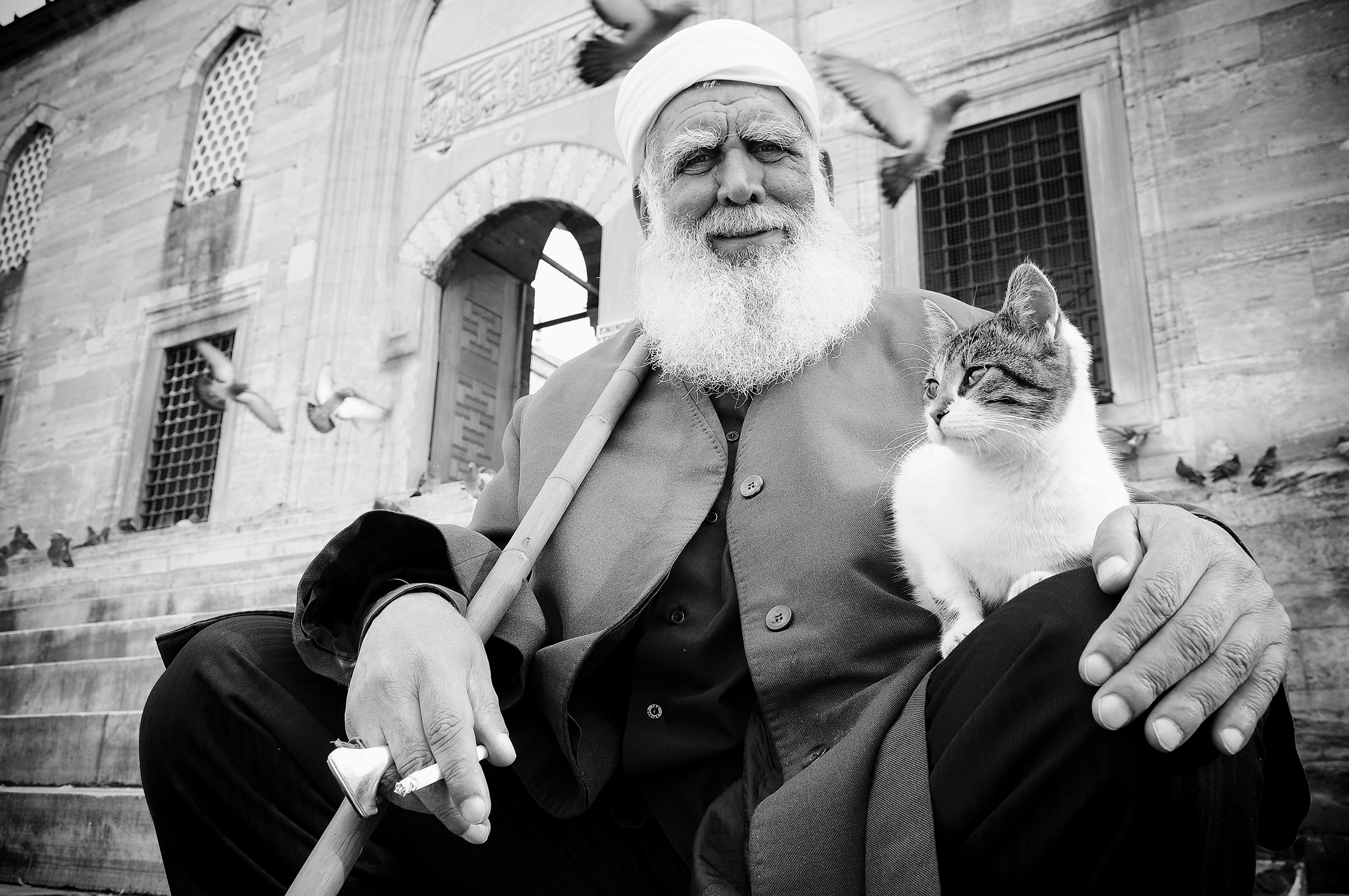 Istanbul, the Old Man & the Cat