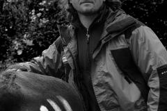 Combats de Reines d'Hérens