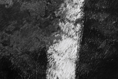 Combats de Reines d'Hérens