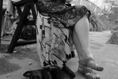 Faces of the Danube Delta