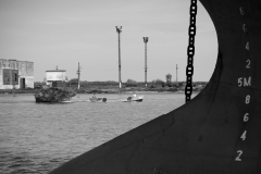 Faces of the Danube Delta