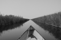 Faces of the Danube Delta