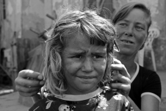 Faces of the Danube Delta