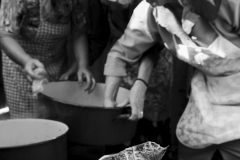 Faces of the Danube Delta