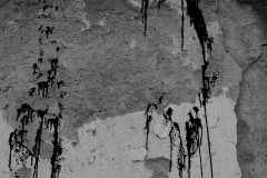 Faces of the Danube Delta