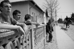 Faces of the Danube Delta