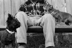 Faces of the Danube Delta