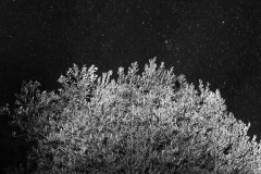 Behind The Stars, Poggio Catino, IT