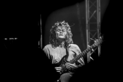 King Gizzard And The Lizard Wizard